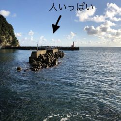 良型になってます