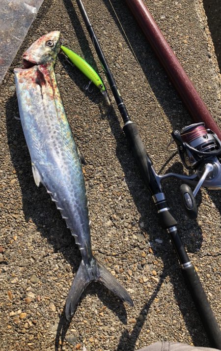 ショアプラッキングおもろ。