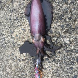 サイズアップしてますよ⤴️