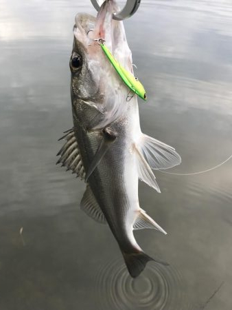 久しぶりに‼️…