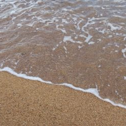 サーフエギング