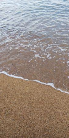 サーフエギング