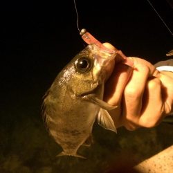 ライトゲームのついでに…