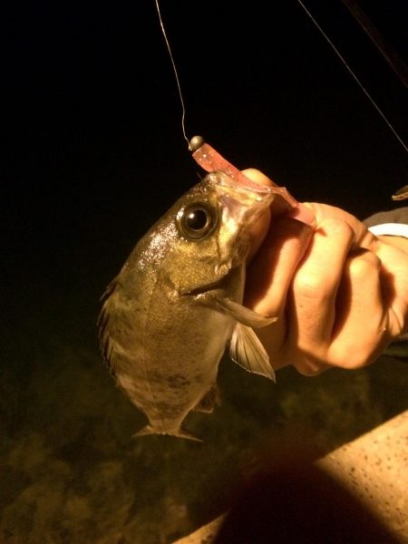 ライトゲームのついでに…