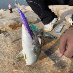 なんとか一匹！