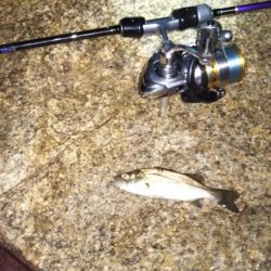 ぷらっとライトゲーム