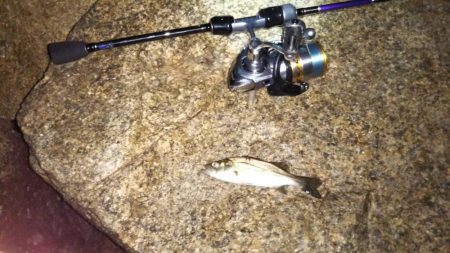 ぷらっとライトゲーム