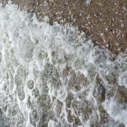 午後からエギング