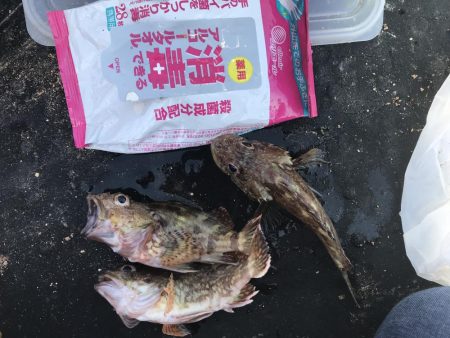 なんとかガシラ