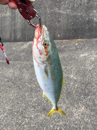 たまに寝坊もいい