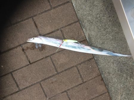 ポイント少ないやつや〜