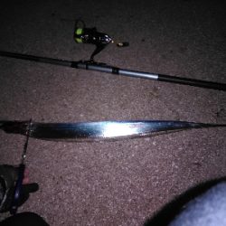 うきタチ、ワインドサバ