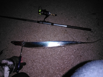 うきタチ、ワインドサバ