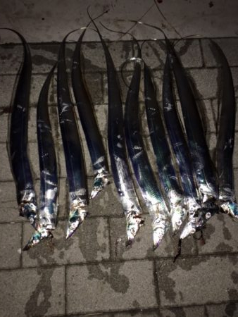 13日深夜　コスモ活性高い