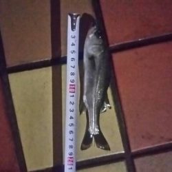 寒くなってきました　～辰巳一付近～