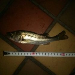 短時間にて　～辰巳一付近～