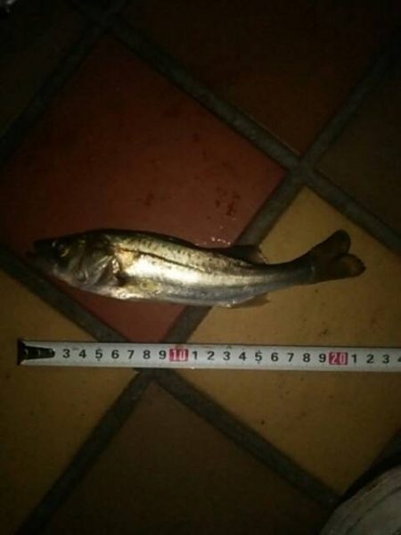 短時間にて　～辰巳一付近～