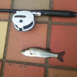 連チャンにて　～辰巳一付近～