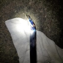 水軒ひと多し。しかし太刀魚は・・・