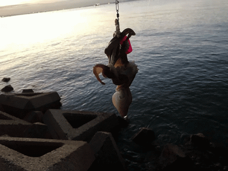 姫路イイダコ(2018-1)