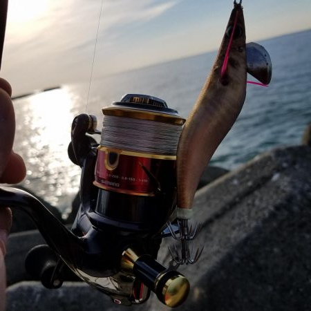 サイトエギングおもろいやん‼