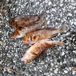 再び舞鶴エリアへ・・・