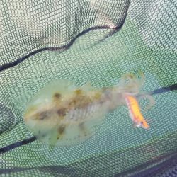 久々のマイボートフィッシング