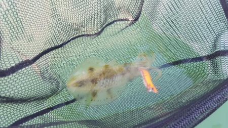 久々のマイボートフィッシング