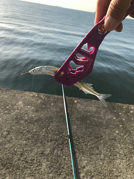 姫路サビキとサヨリ釣り