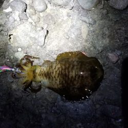 雨にも負けず、風にも負けず❗