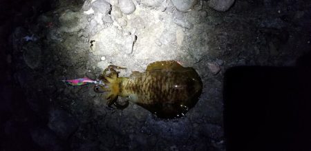 雨にも負けず、風にも負けず❗