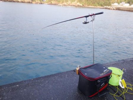 今シーズン初ヤエン