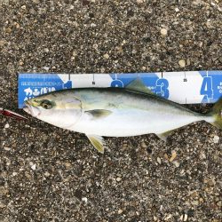 タチ狙いのはずが人生初ブルー