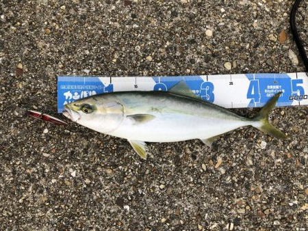 タチ狙いのはずが人生初ブルー