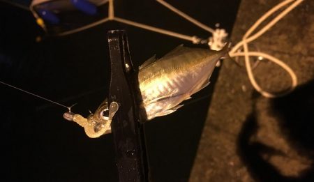 暴風雨ライトゲーム