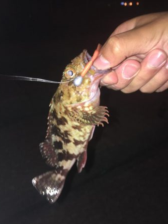 渋いね。寒いね。