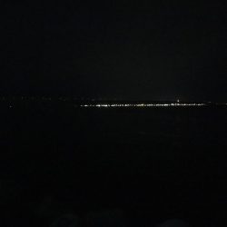 ワガママなタチウオ