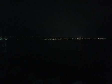 ワガママなタチウオ