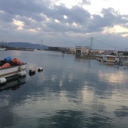 アジングのはずが