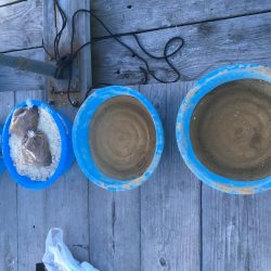 鳴門ウチノ海筏でダンゴ釣り・泳がせ釣り