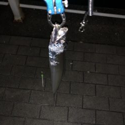 シーサイド タチウオ