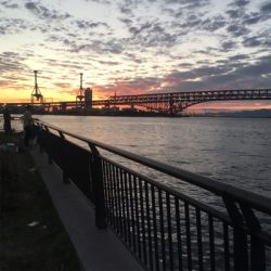 IKEA裏で五目釣り達成