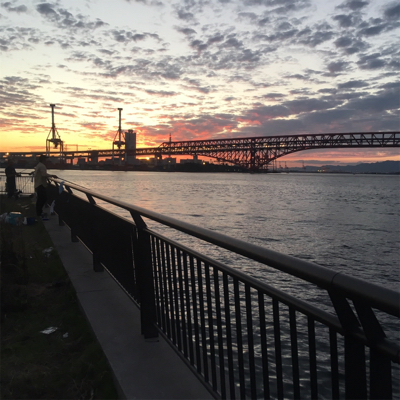 IKEA裏で五目釣り達成