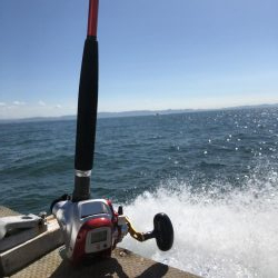 泉佐野マリンライフさんでタチウオ