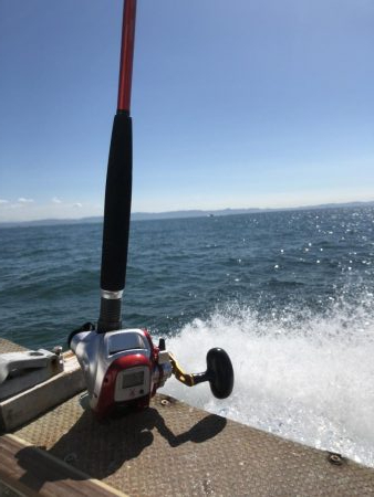 泉佐野マリンライフさんでタチウオ