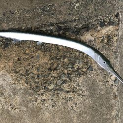 ショアジギング