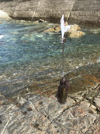 エギングランガン