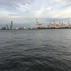 フラッシュjワームで太刀魚