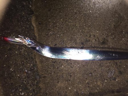 久々のタッチー！