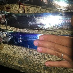 まずまずだぬぇ〜